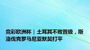 竞彩欧洲杯｜土耳其不败晋级，斯洛伐克罗马尼亚默契打平
