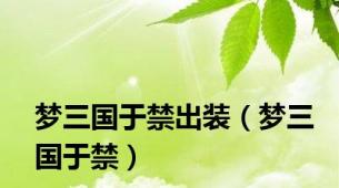 梦三国于禁出装（梦三国于禁）