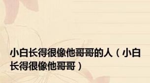 小白长得很像他哥哥的人（小白长得很像他哥哥）