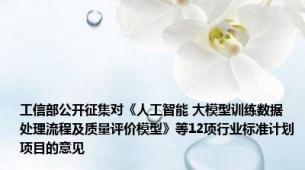 工信部公开征集对《人工智能 大模型训练数据处理流程及质量评价模型》等12项行业标准计划项目的意见