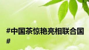 #中国茶惊艳亮相联合国#