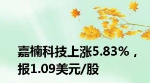 嘉楠科技上涨5.83%，报1.09美元/股