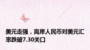 美元走强，离岸人民币对美元汇率跌破7.30关口