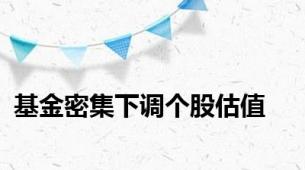 基金密集下调个股估值