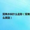 双氧水叫什么名称（双氧水是什么类别）