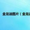 金龙油图片（金龙油）