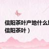 信阳茶叶产地什么地方（信阳茶叶）