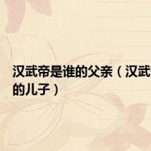 汉武帝是谁的父亲（汉武帝是谁的儿子）