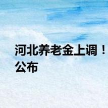 河北养老金上调！方案公布