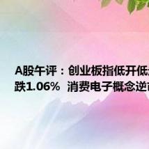 A股午评:创业板指低开低走半日跌1.06% 消费电子概念逆市走强