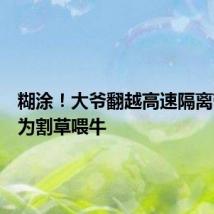 糊涂!大爷翻越高速隔离带竟是为割草喂牛