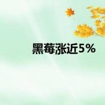 黑莓涨近5%