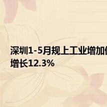 深圳1-5月规上工业增加值同比增长12.3%