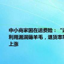 中小商家困在运费险:“运险客”利用漏洞薅羊毛,退货率攀升保费上涨