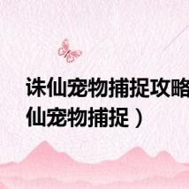 诛仙宠物捕捉攻略（诛仙宠物捕捉）