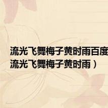流光飞舞梅子黄时雨百度网盘(流光飞舞梅子黄时雨)