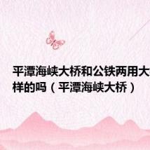平潭海峡大桥和公铁两用大桥是一样的吗(平潭海峡大桥)