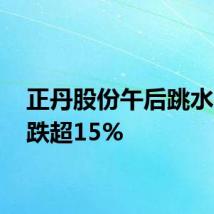 正丹股份午后跳水 盘中跌超15%