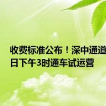 收费标准公布!深中通道6月30日下午3时通车试运营