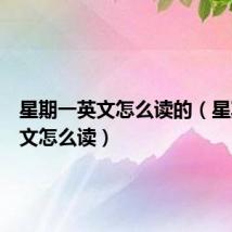 星期一英文怎么读的（星期一英文怎么读）