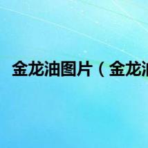 金龙油图片（金龙油）
