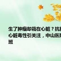 生了肿瘤却栽在心脏?抗肿瘤药物心脏毒性引关注,中山医院牵头开班