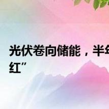 光伏卷向储能，半年变“红”