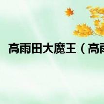 高雨田大魔王（高雨）