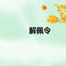 解佩令