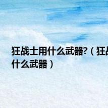 狂战士用什么武器?（狂战士用什么武器）