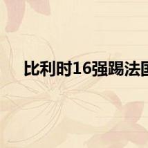 比利时16强踢法国