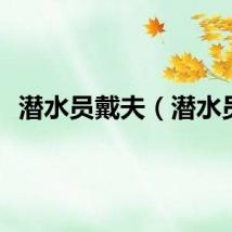 潜水员戴夫（潜水员）
