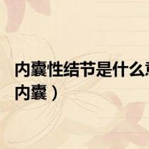 内囊性结节是什么意思（内囊）