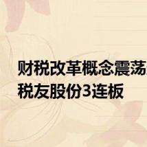 财税改革概念震荡走高 税友股份3连板