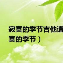 寂寞的季节吉他谱（寂寞的季节）