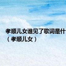 孝顺儿女谁见了歌词是什么意思（孝顺儿女）