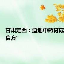 甘肃定西：道地中药材成致富“良方”