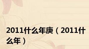 2011什么年庚（2011什么年）