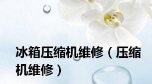 冰箱压缩机维修（压缩机维修）