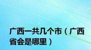 广西一共几个市（广西省会是哪里）