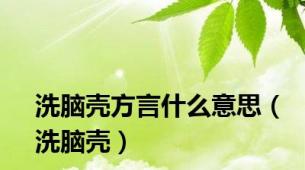 洗脑壳方言什么意思（洗脑壳）
