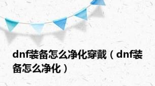 dnf装备怎么净化穿戴（dnf装备怎么净化）
