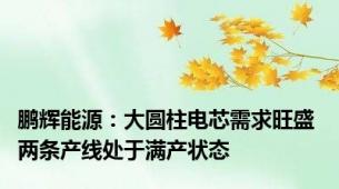 鹏辉能源：大圆柱电芯需求旺盛 两条产线处于满产状态