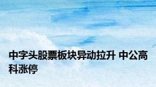 中字头股票板块异动拉升 中公高科涨停