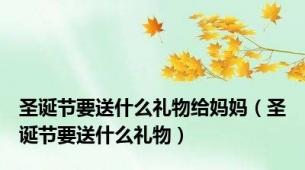 圣诞节要送什么礼物给妈妈（圣诞节要送什么礼物）
