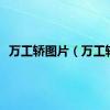 万工轿图片（万工轿）