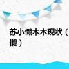 苏小懒木木现状（苏小懒）