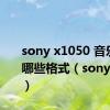 sony x1050 音乐支持哪些格式（sonyx1050）