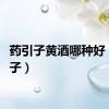药引子黄酒哪种好（药引子）