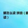 鳜怎么读 拼音（鳜怎么读）